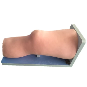 Articulația genunchiului Intracavity Injecție Medicale Modelul de Predare Practică Clinică Medicală Știința BIX/CK20135