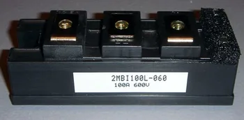 2MBI100L-060